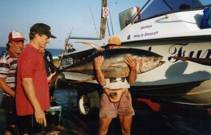 Tuna 55kg